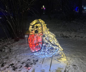 MagicznyBotaniczny 2025/2026 w Warszawie