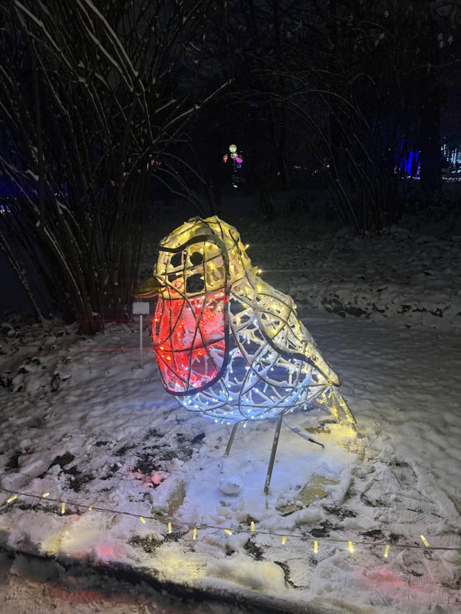 MagicznyBotaniczny 2025/2026 w Warszawie