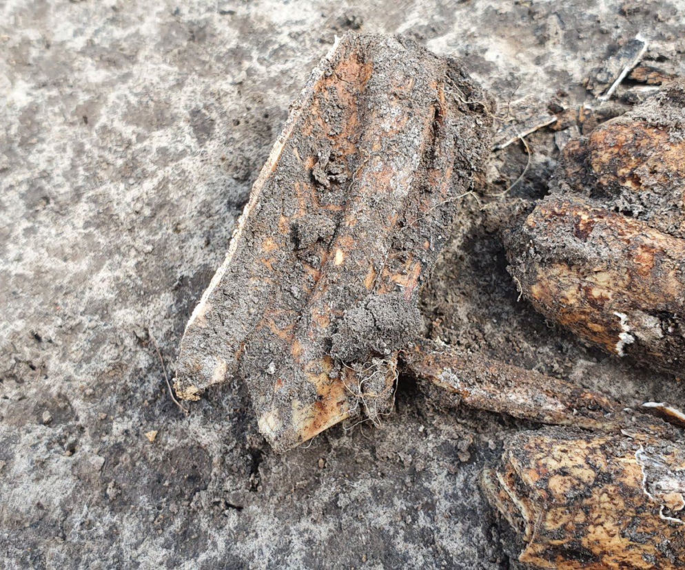 Prace archeologiczne na Północnej Obwodnicy Krakowa