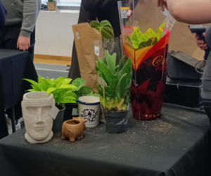 Festiwal Roślin w Enea Arenie