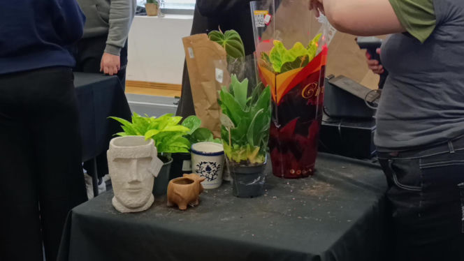 Festiwal Roślin w Enea Arenie