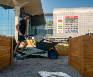 Miejska farma i ekowarsztaty - Galeria Katowicka wypuszcza zieleń w miasto