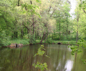 Ta wieś ma ponad 600 lat. Zachował się w niej wyjątkowy neogotycki pałac