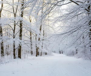 Marta Kaczyńska i jej zimowy sekret. Kto skradł serca internautów na śnieżnym szlaku?