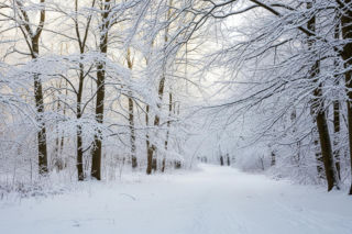 Marta Kaczyńska i jej zimowy sekret. Kto skradł serca internautów na śnieżnym szlaku?