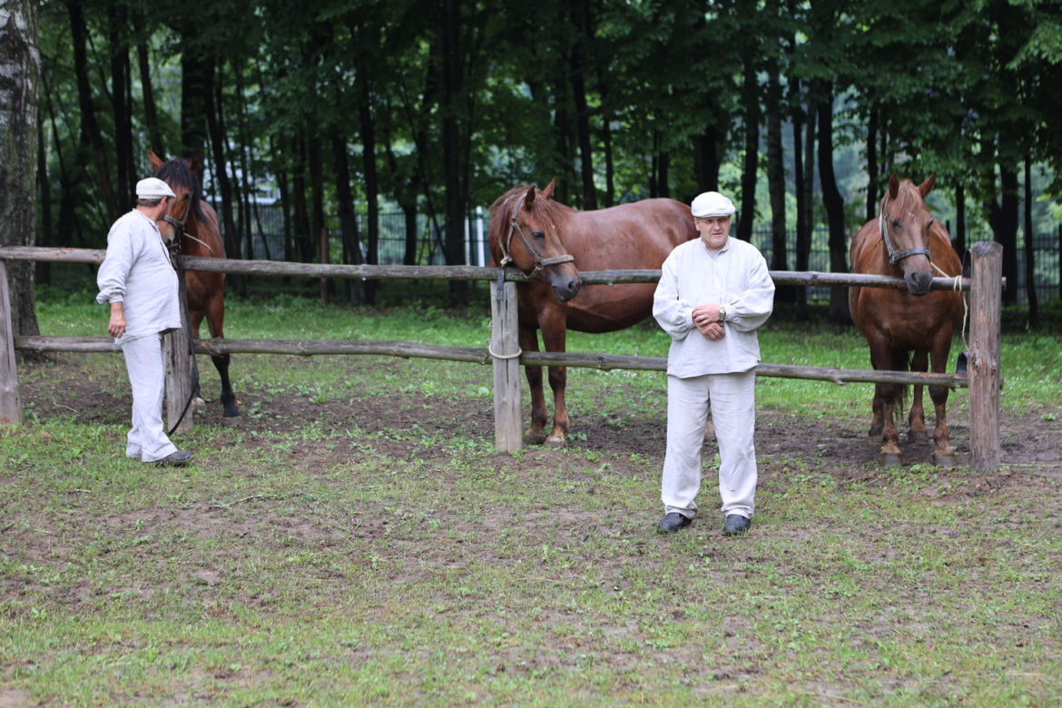Jarmark koński w Muzeum Wsi Lubelskiej