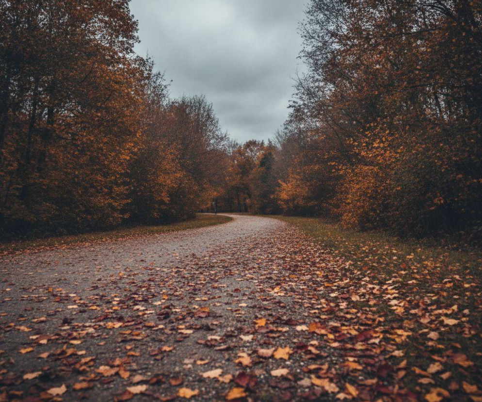 Słońce w Białymstoku nie na cały weekend. W niedzielę pogoda wyraźnie się zmieni