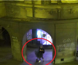 Spacerowali po Bydgoszczy z ukradzioną choinką! Interweniowała policja [ZDJĘCIA]