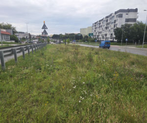 Tędy za dwa lata pojadą tramwaje. Na Szwederowie rozpoczęła się budowa nowej trasy tramwajowej