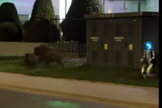 Robot humanoidalny Edward Warchocki przegania dziki w stolicy. Nagranie stało się hitem sieci