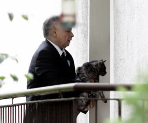 Kot prezesa Jarosława Kaczyńskiego 