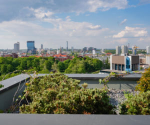 Damrota Garden - apartamentowiec w Katowicach z drzewami na fasadzie i dachu - czerwiec 2026