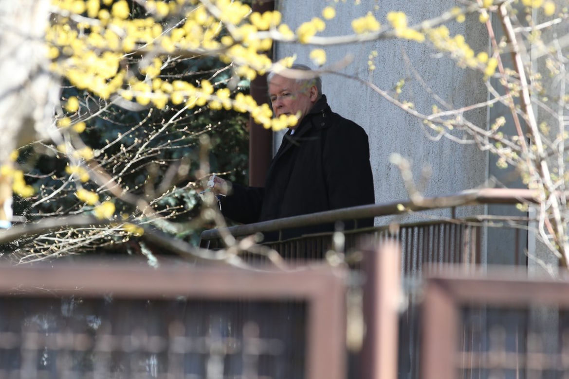  Tak Kaczyński woła kota 