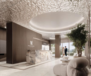 Nowa Gwiazda w Katowicach