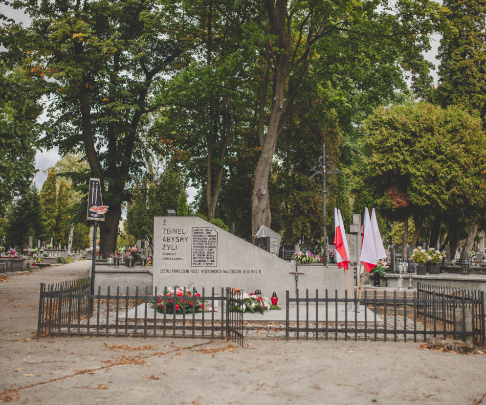 Wszystkich Świętych 2019 pogoda. Sprawdź, jaka będzie aura 1 listopada w Płocku