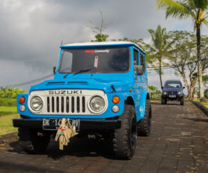 Suzuki LJ
