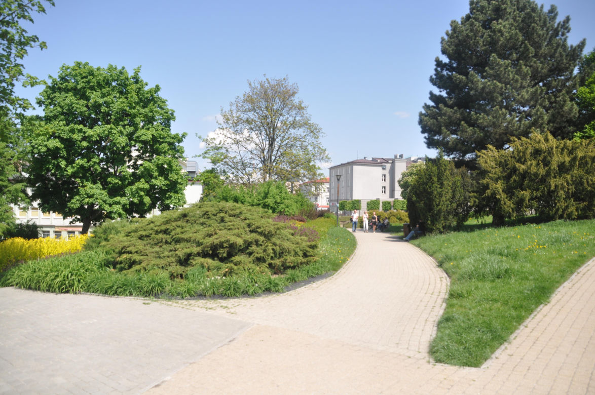 Park Miejski w Kielcach. Wiosna 2025