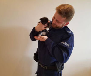 policjant przygarnął kota