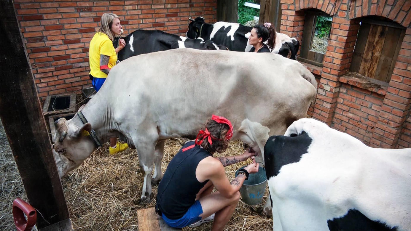 Farma 4: nikt nie ma już wątpliwości. To nowi faworyci do zwycięstwa