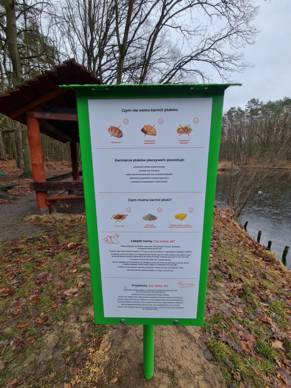 Pierwsze ptasie bufety stanęły w Szczecinie