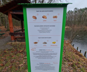 Pierwsze ptasie bufety stanęły w Szczecinie