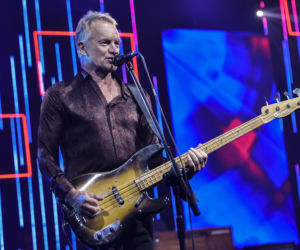 Sting bez miodu nie wystąpi