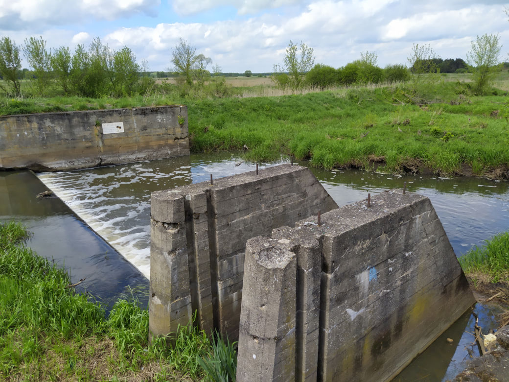 Sprzątanie mostu kolejowego nad rzeką Muchawką - 15.05.2021
