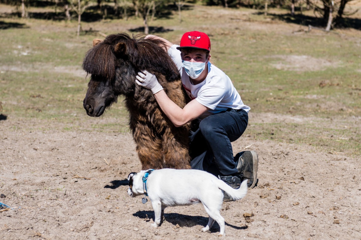 Koronawirus w Trójmieście. Zamieszkali razem ze zwierzętami w schronisku [ZDJĘCIA]