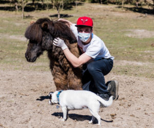 Koronawirus w Trójmieście. Zamieszkali razem ze zwierzętami w schronisku [ZDJĘCIA]