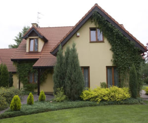 Pnącza na ściany