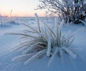 Siarczysty mróz paraliżuje Polskę. IMGW ostrzega, czy to zapowiedź rekordów?
