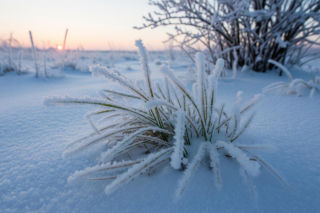 Siarczysty mróz paraliżuje Polskę. IMGW ostrzega, czy to zapowiedź rekordów?
