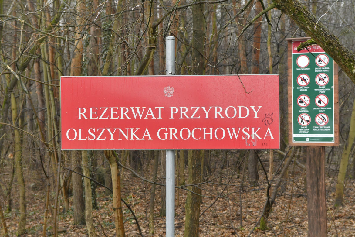 Rocznica bitwy pod Olszynką Grochowską. Mieszkańcy zorganizowali protest. „Nie odcinajcie nas od rezerwatu”