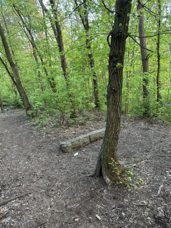 Robił obrzydliwe rzeczy na oczach dzieci! Później uciekł do lasu