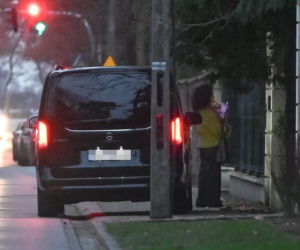 Urodziny Maryli Rodowicz