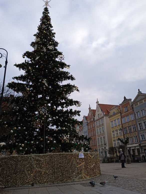 Zimowo i świątecznie w Gdańsku. Zobaczcie nasze zdjęcia!