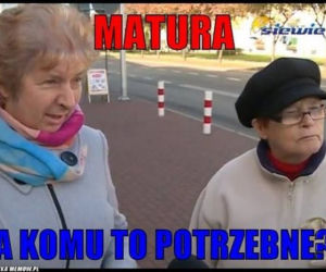 MEMY maturalne