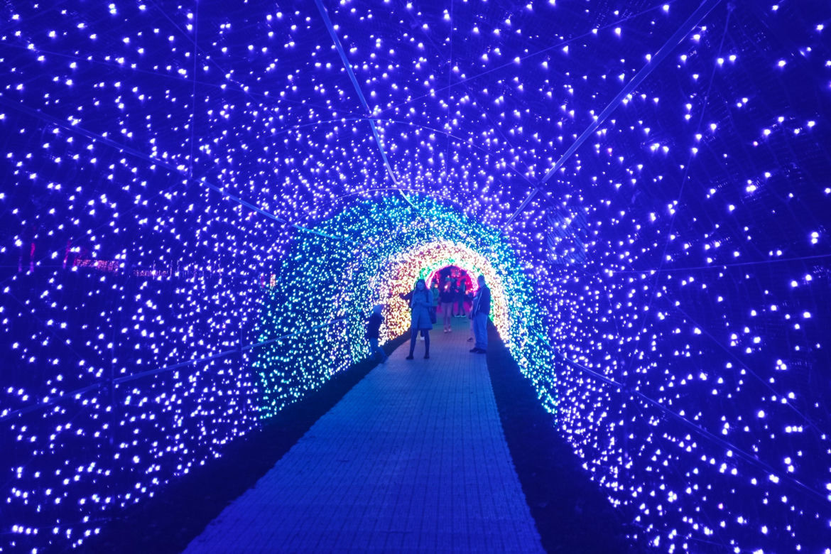 Garden of Lights w Szczecinie