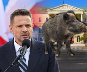 Pójdą pod ratusz w sprawie dzików. Urzędnicy przepraszają, a Trzaskowski ma problem