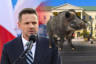 Pójdą pod ratusz w sprawie dzików. Urzędnicy przepraszają, a Trzaskowski ma problem