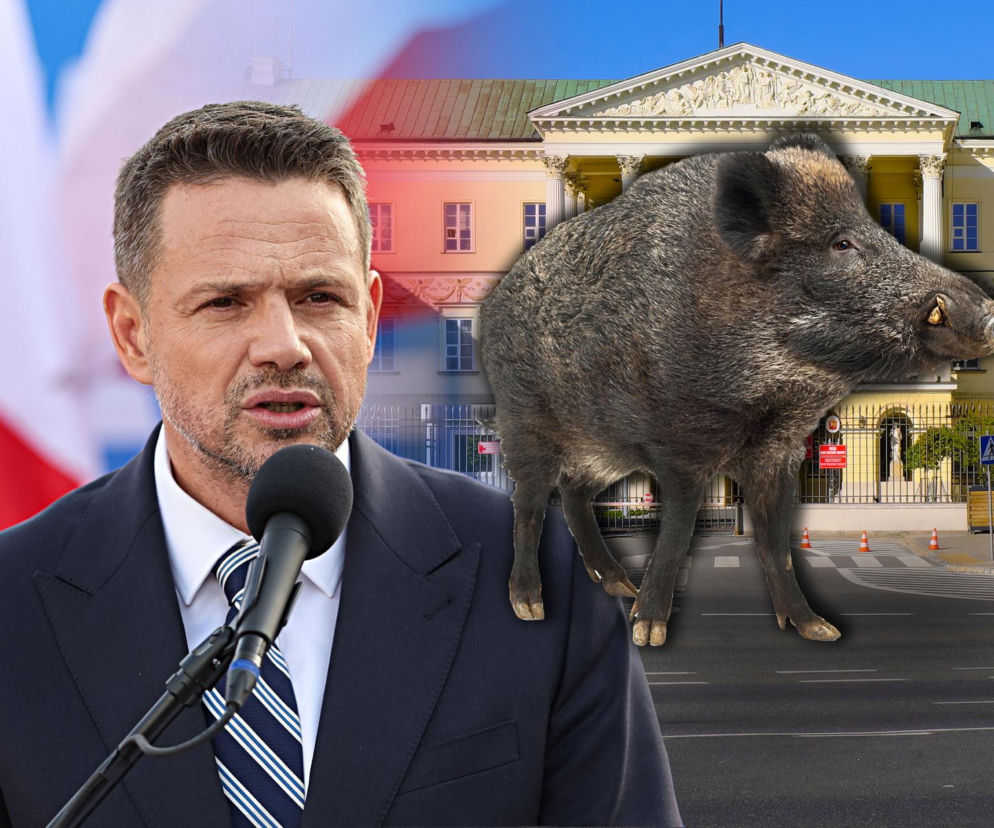 Leśnicy przepraszają za rzeź dzików. Mieszkańcy zapowiadają protest pod oknami Trzaskowskiego