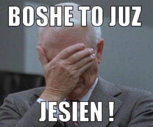 Równonoc jesienna 2020. Zobacz najlepsze memy na pierwszy dzień jesieni