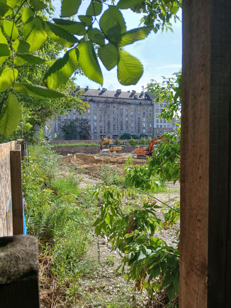 Porządkowanie terenu przy ul. Chmielnej 75 w Warszawie