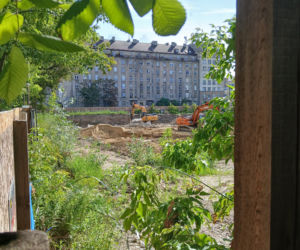 Porządkowanie terenu przy ul. Chmielnej 75 w Warszawie