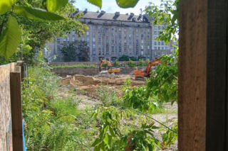Porządkowanie terenu przy ul. Chmielnej 75 w Warszawie