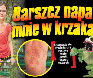 Barszcz napadł mnie w krzakach