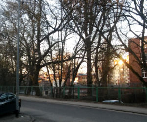 Janosika