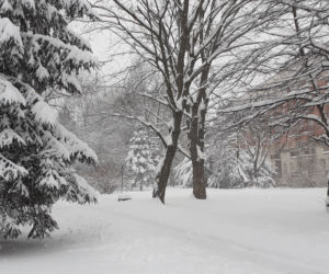 Zasypany Przemyśl (Zasanie) 11.02.2021
