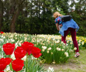 To jedna z najpopularniejszych atrakcji turystycznych w Lublinie