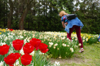 To jedna z najpopularniejszych atrakcji turystycznych w Lublinie